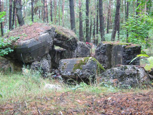 Stalin Line - Remains Casemate No. 433 #1