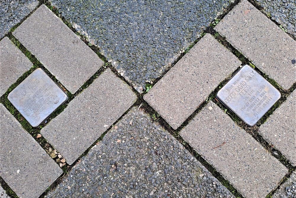 Stolpersteine Werderstrasse 36