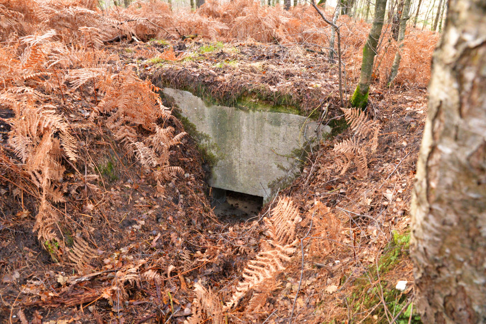 Ringstand 225 Niederkrchten