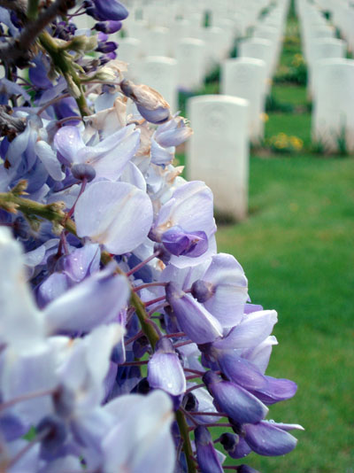 Commonwealth War Cemetery La Delivrande #3