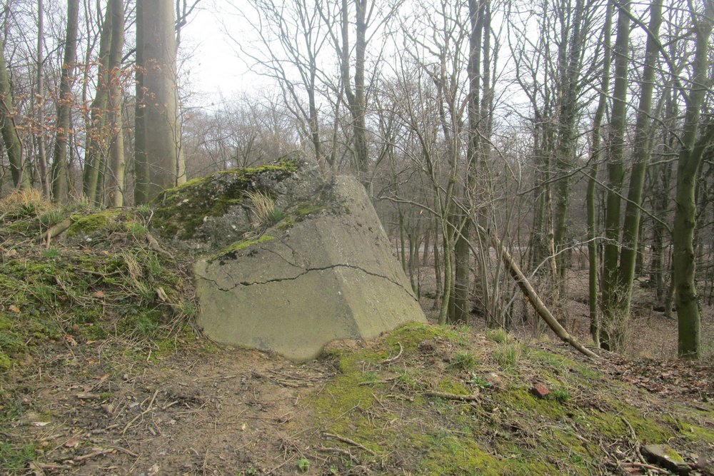 Westwall - Bunker Restanten Augustiner Wald #2