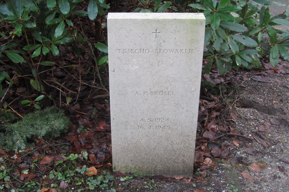 Tsjecho-Slowaakse Oorlogsgraven (Rusthof) #1