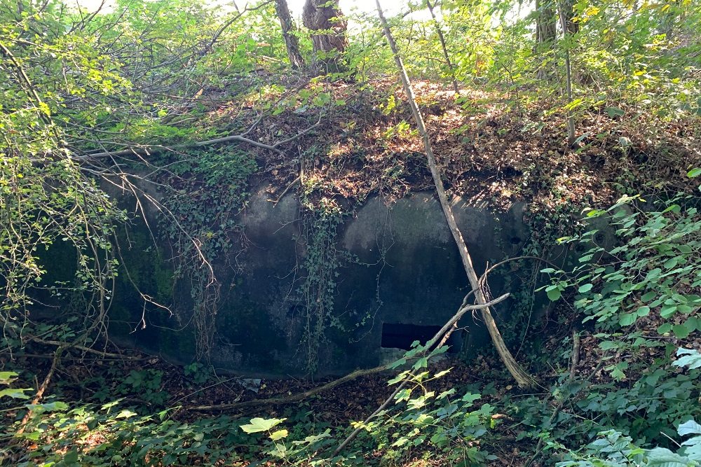 Bunker Mi 2 Micheroux #4