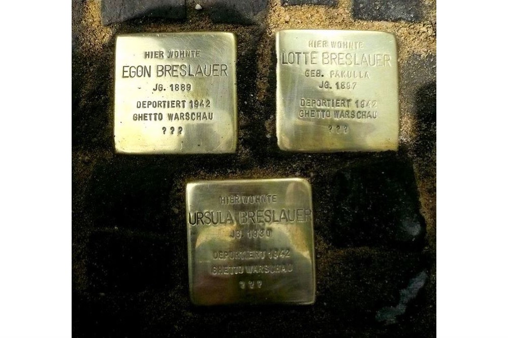 Stumbling Stones Neustädter Straße 13 #2