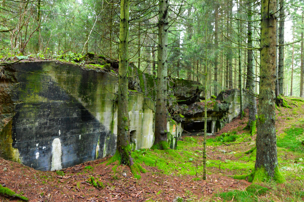 Bunker 221 Westwall Wahlerscheid #4