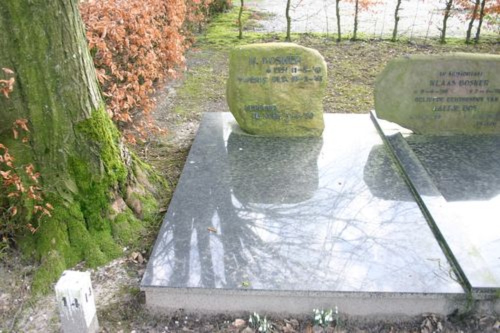 Dutch War Grave Norg #2