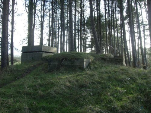 Observation Bunker Pembrey Airfield #1