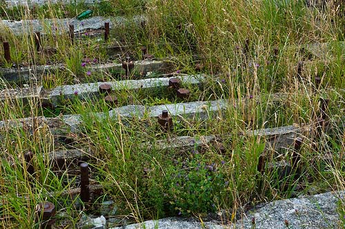 Atlantikwall - Coastal Battery Dollemard #2