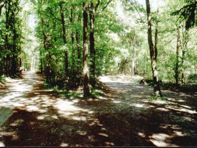 Fusilladeplaats Loonse en Drunense Duinen #1