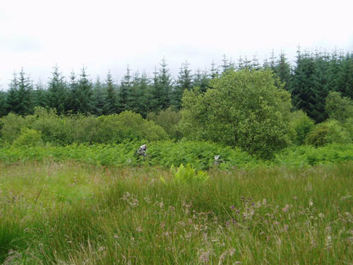 Crash Site Hawker Typhoon JR432 Craigie Linn