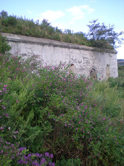 Vladivostok Fortress - Strongpoint No. 1 #5