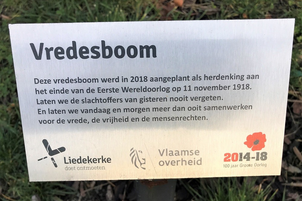 Vredesboom Liedekerke #2