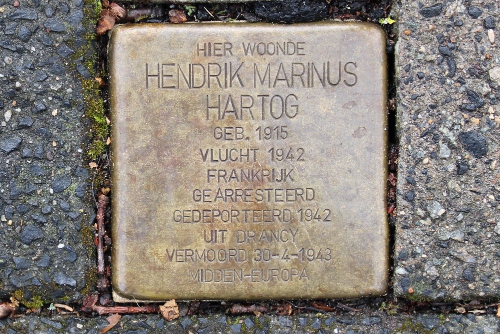 Stolperstein Duinvoetlaan 9 #1