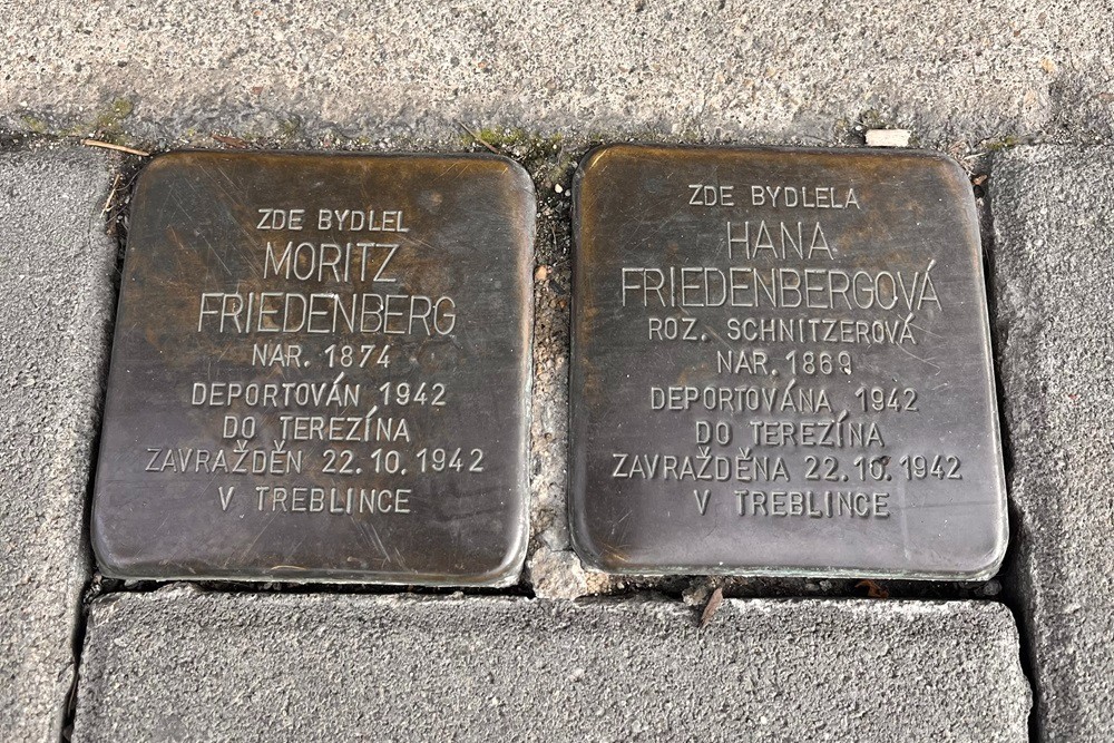 Stolpersteine Tyrova 1683/20 #1