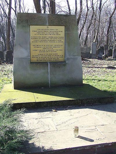 Polish War Graves Jewish Cemetery Warsaw #2