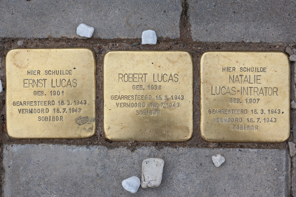 Stolpersteine Alexanderweg 44 #1