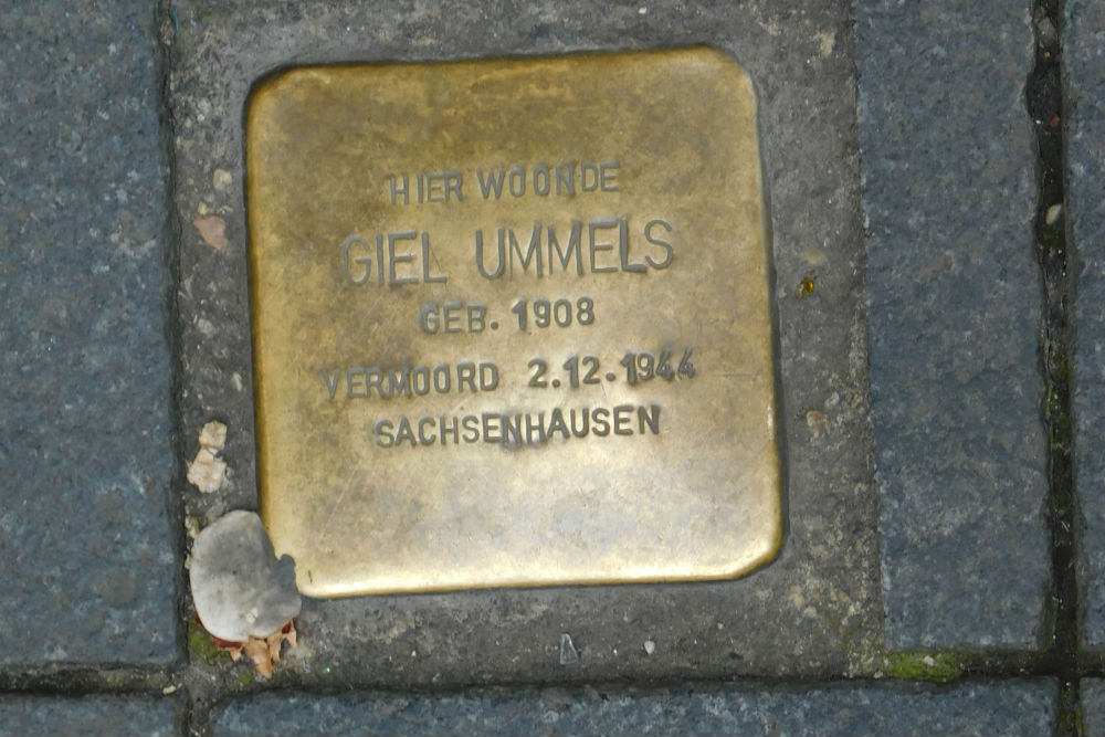 Stolperstein Wolfstraat 6