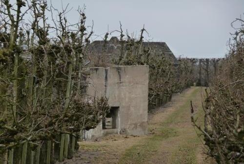 Group Shelter and MG-Casemate Achterdijk #1