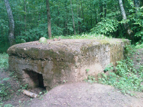 Russian Casemate Romashkovo