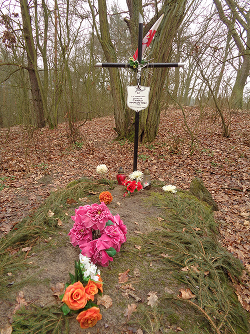 Collective Grave Polish Soldiers 1920