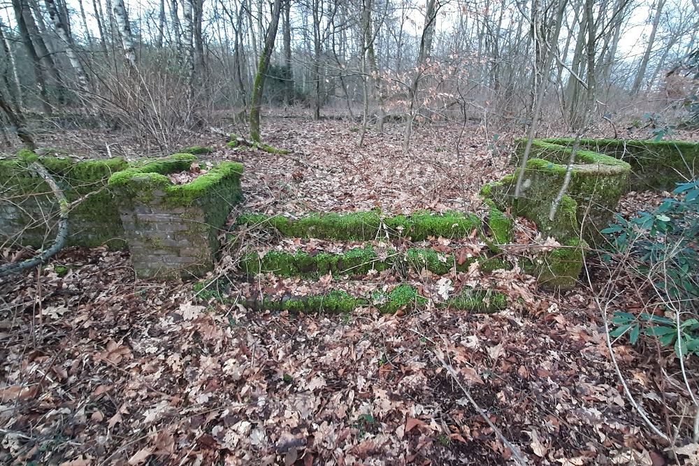 Ruine Villa Boschhoeve Wolfheze