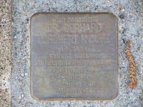 Stolperstein Domstrae 9a #1