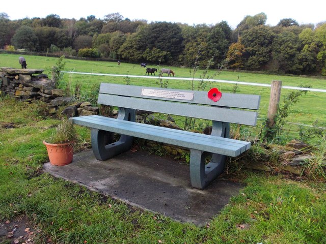 Memorial Bench David Marsh #1