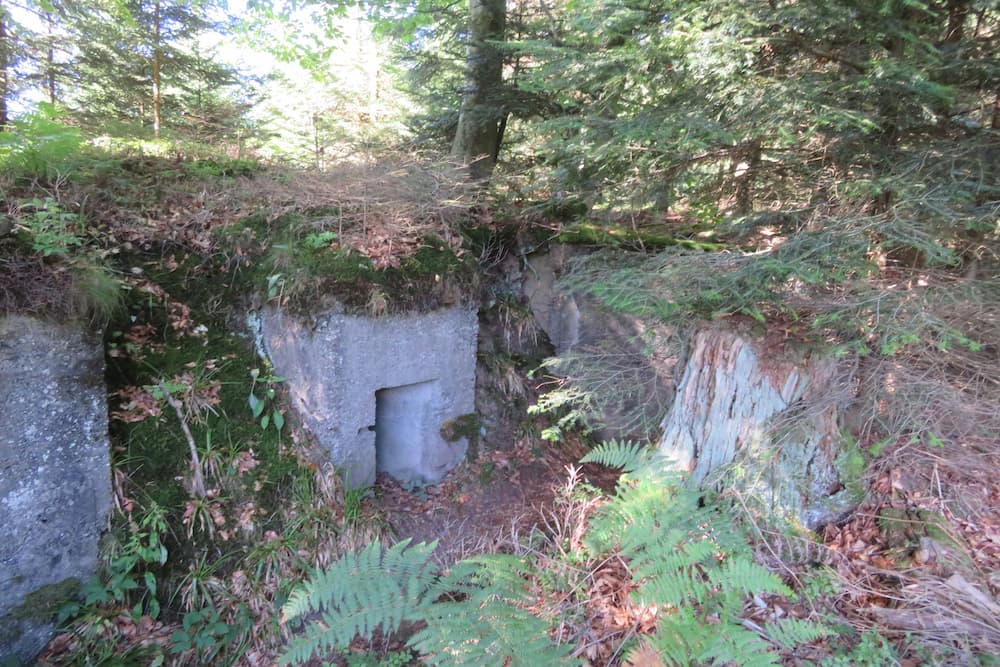 Artillery Bunkers Col du Donon