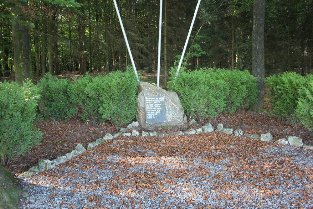 Monument Amerikaanse Vliegeniers Harz #1