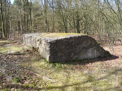 Group Shelter Type 1918/II De Fransche Kamp #1