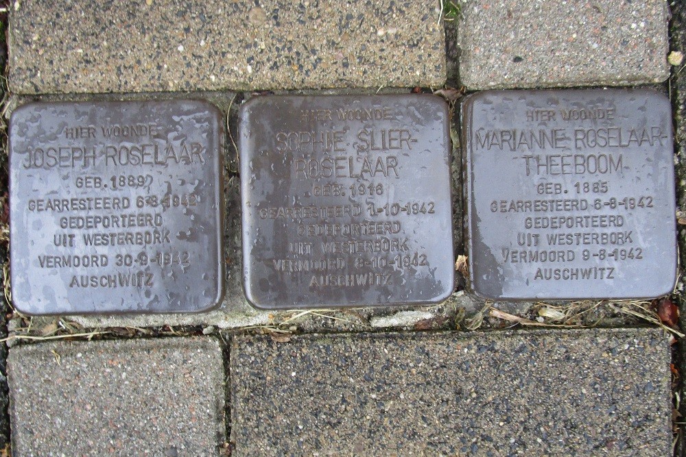 Stolpersteine Transvaalkade 54 & 54/1 #2