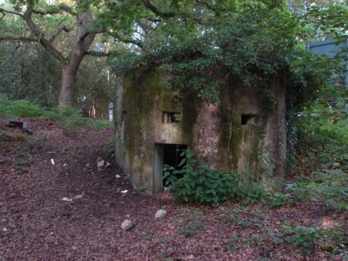 Pillbox FW3/22 Pirbright