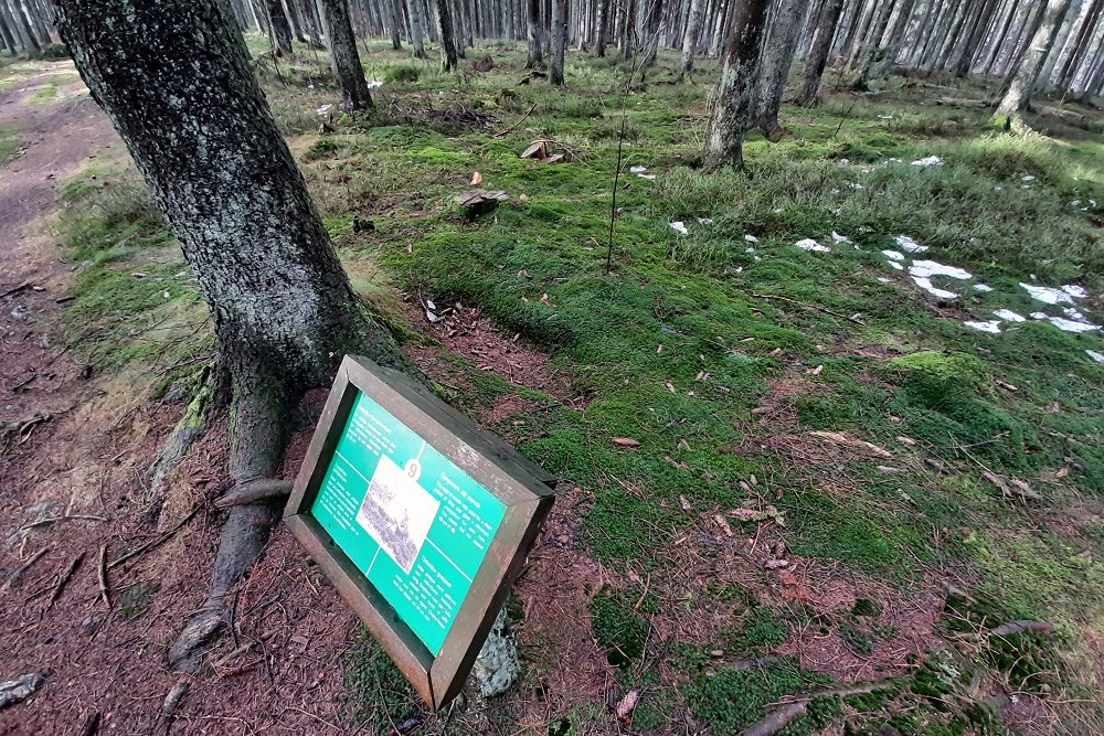 Memorial Site Hasselpath Position 9. Temporary slit trench #2