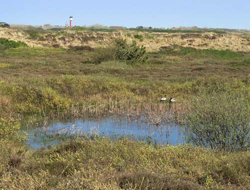 Bomkraters Wangerooge #2