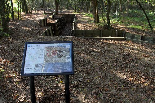 Grebbe Line - Restored Trench 