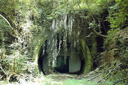 Kormoran Tunnel Asbach #1