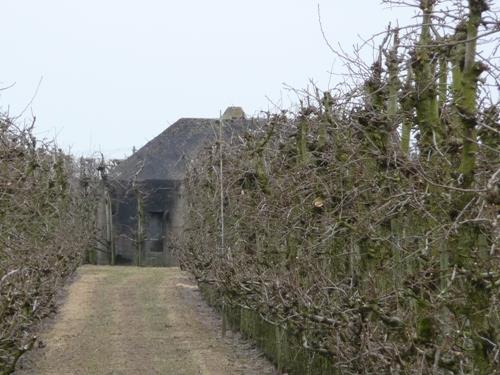 Groepsschuilplaats Type P Achterdijk