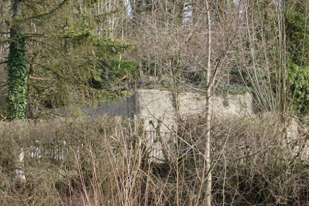 Westwall - Tank Wall Schneeberg #3