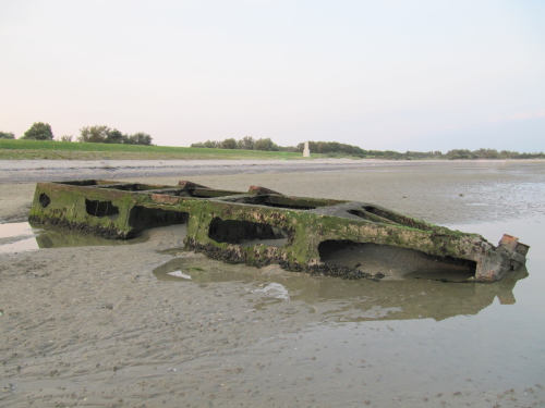 Beetles in Dyke-hole Rammekens / Ritthem