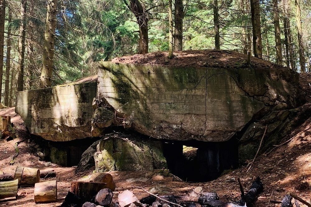 Remains Bunker Hürtgenwald