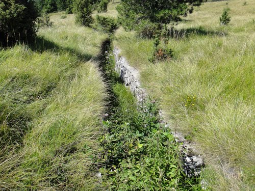 Alpine Wall - Trench Lipa #2