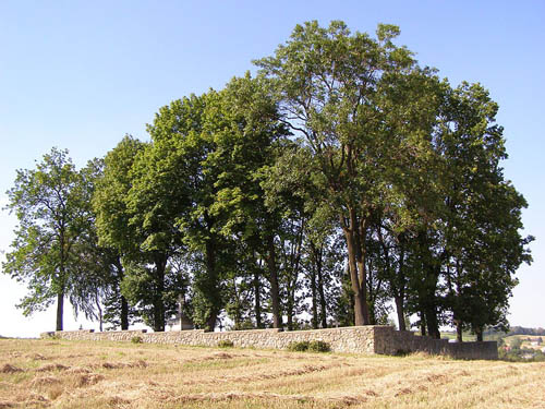 Austrian-Russian War Cemetery No.167 #1