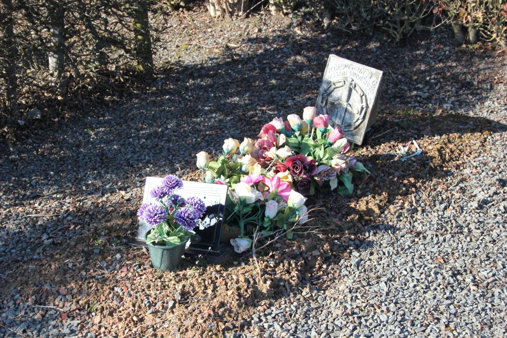 Belgian Graves Veterans Irchonwelz #5