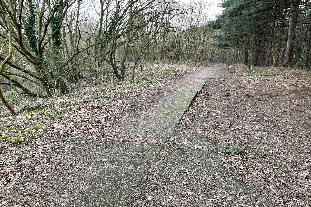 Atlantikwall - toegangsweg (Feldbatterie Tussenwijck)