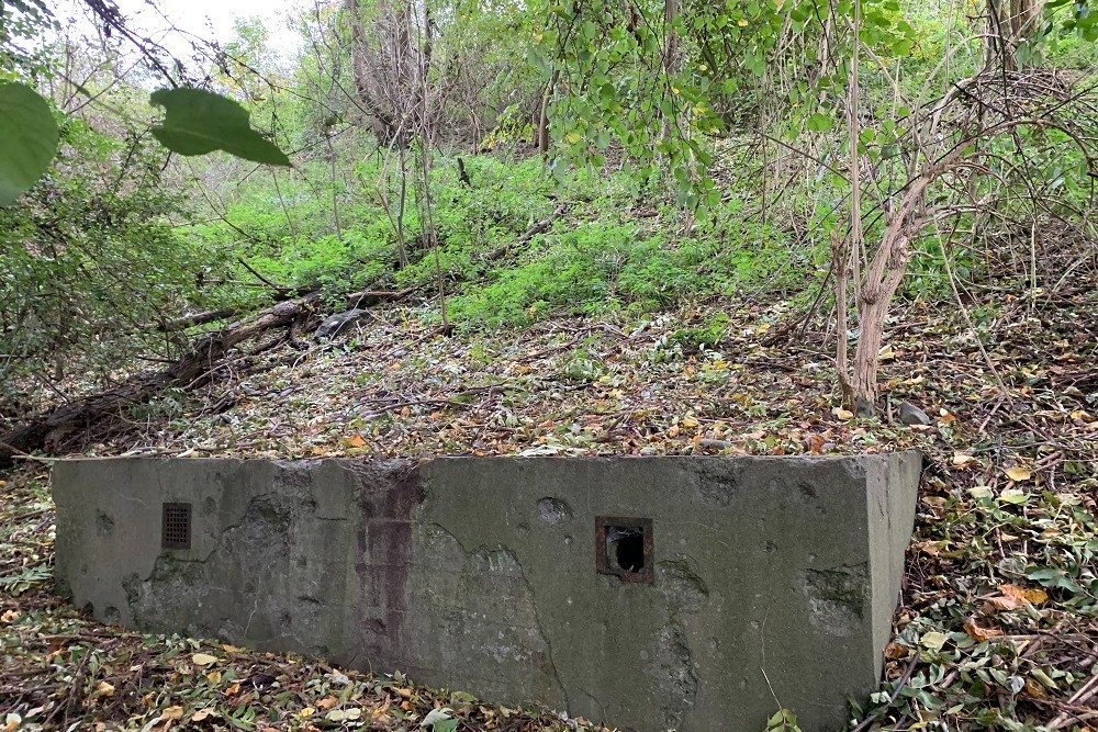Bunker Vi 15 Visé #4