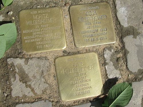 Stolpersteine Groe Strae 55 #1