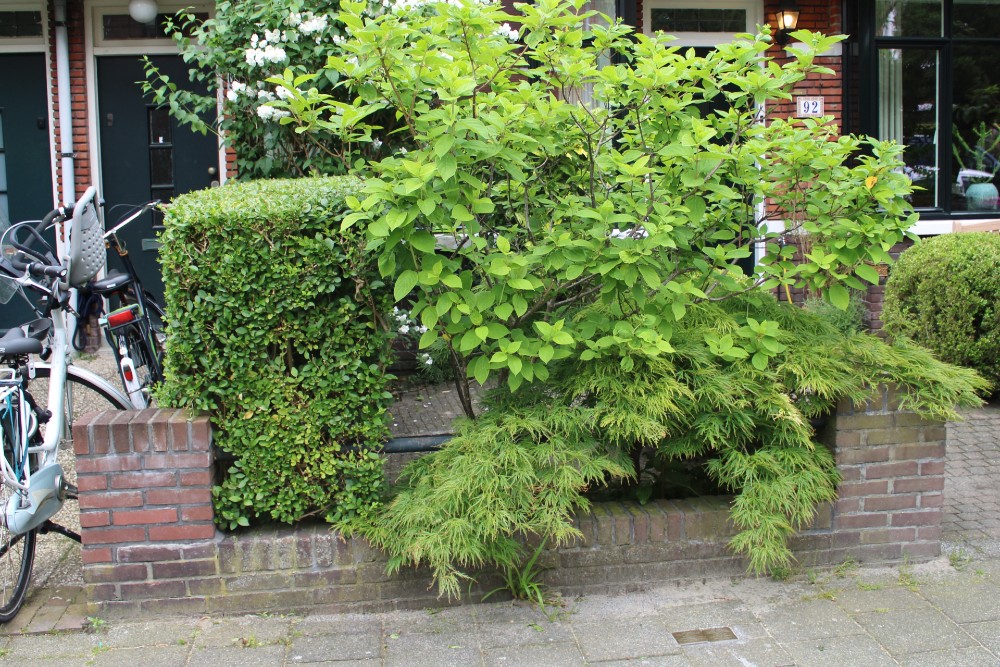 Stumbling Stones Jacob Catsstraat 92 #4