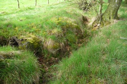 Trench Propsteier Wald