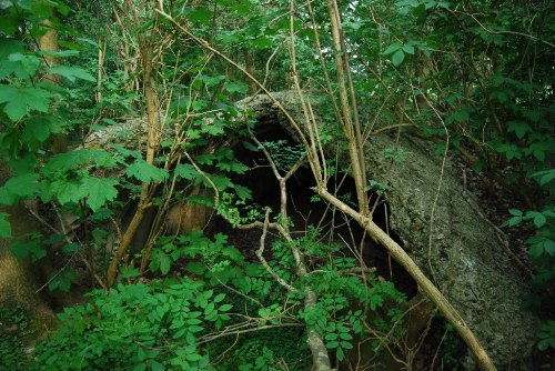 British Bunker Zillebekevijverdreef