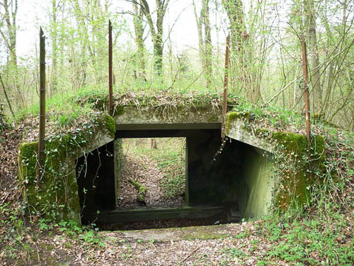 Limmat Line - Artillery Position Bremgarten